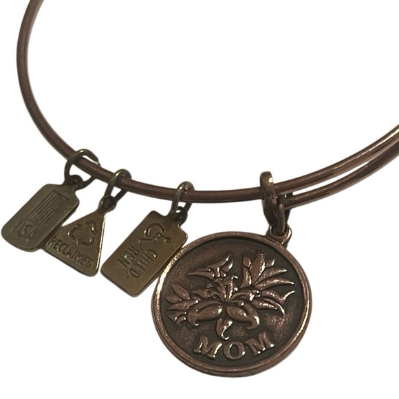 Alex and Ani Mom  with Iris Rose Gold Wind and Fire Charm Bangle Bracelet - Picture 1 of 6